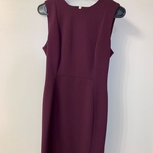 Calvin Klein Sheath Dress Plum Size 6